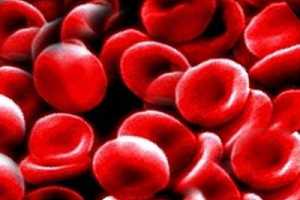 Alimentos que tienen Propiedades Anticoagulantes de la Sangre